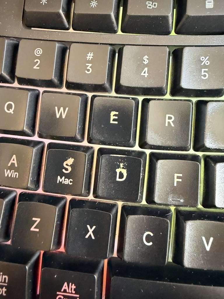 COLIKES Wireless Ergonomic Keyboard, Backlit Keyboard Silent with 15 RGB Lighting Effects, Leather Wrist Rest, 2500mAh Rechargeable, Multimedia Keys, Wave Keyboard for PC Computer Laptop Windows Mac customer photo 2