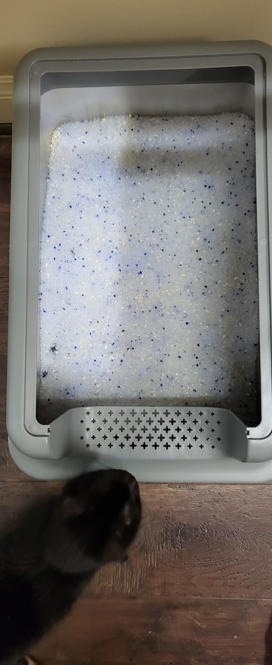 Voluas 7L Wireless Dog Water Fountain with 1 Filter, Stainless Steel customer photo 2
