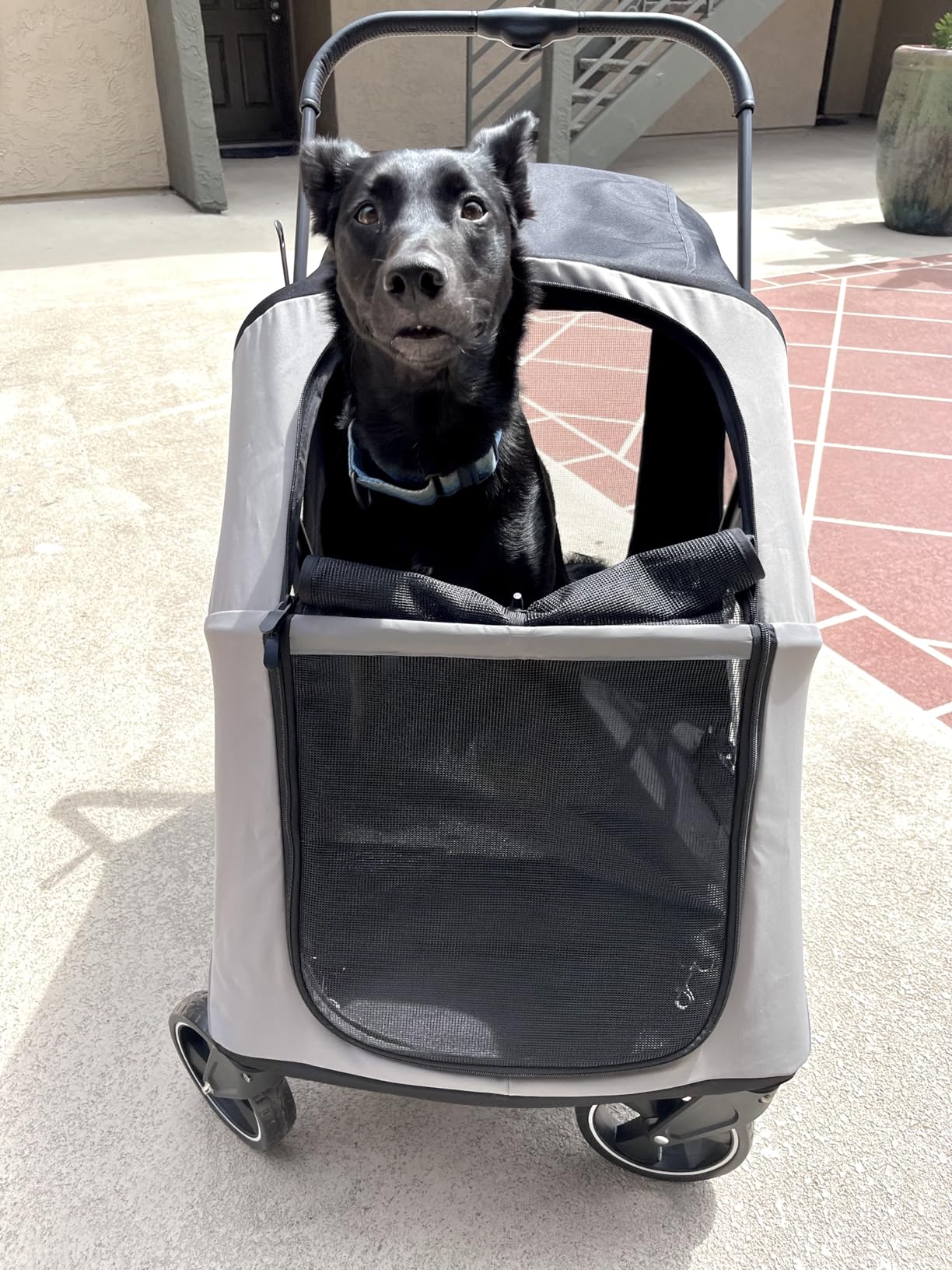 Dog Stroller for Large & Medium Dogs, 4 Wheels Pet Stroller for Large Dogs up to 120lbs, Extra Large Dog Stroller with Foldable Design, Sun Shades, Storage Pocket, Breathable Mesh customer photo 1