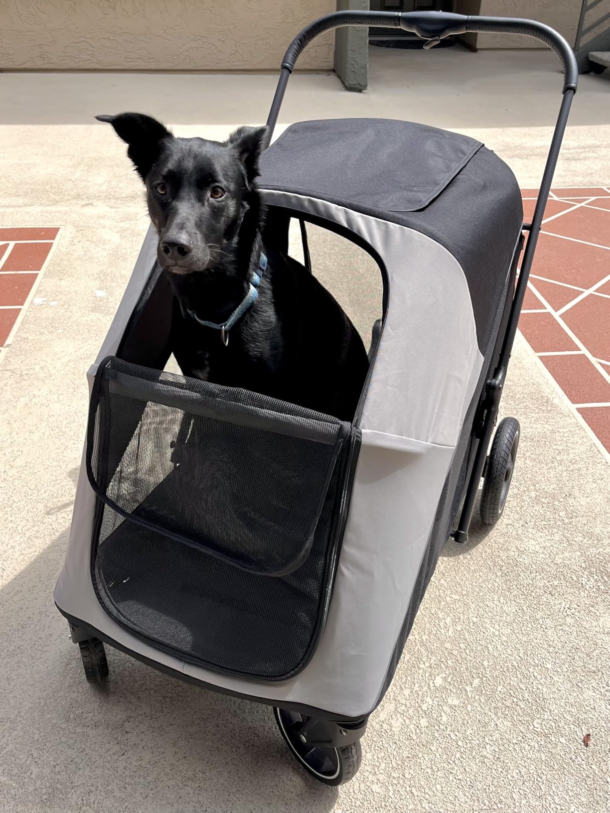 Dog Stroller for Large & Medium Dogs, 4 Wheels Pet Stroller for Large Dogs up to 120lbs, Extra Large Dog Stroller with Foldable Design, Sun Shades, Storage Pocket, Breathable Mesh customer photo 2