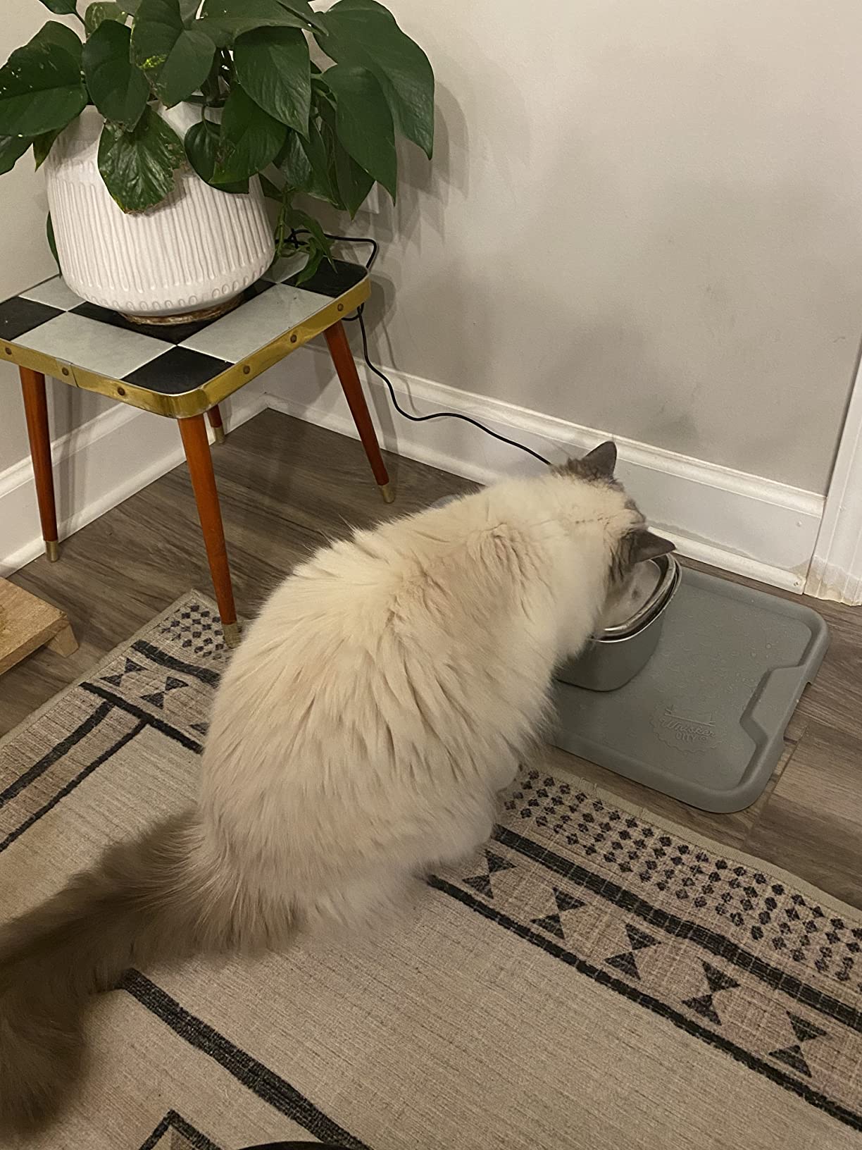Dog Water Fountain for Large Dogs, 8L/270oz Stainless Steel Dog Bowl customer photo 1