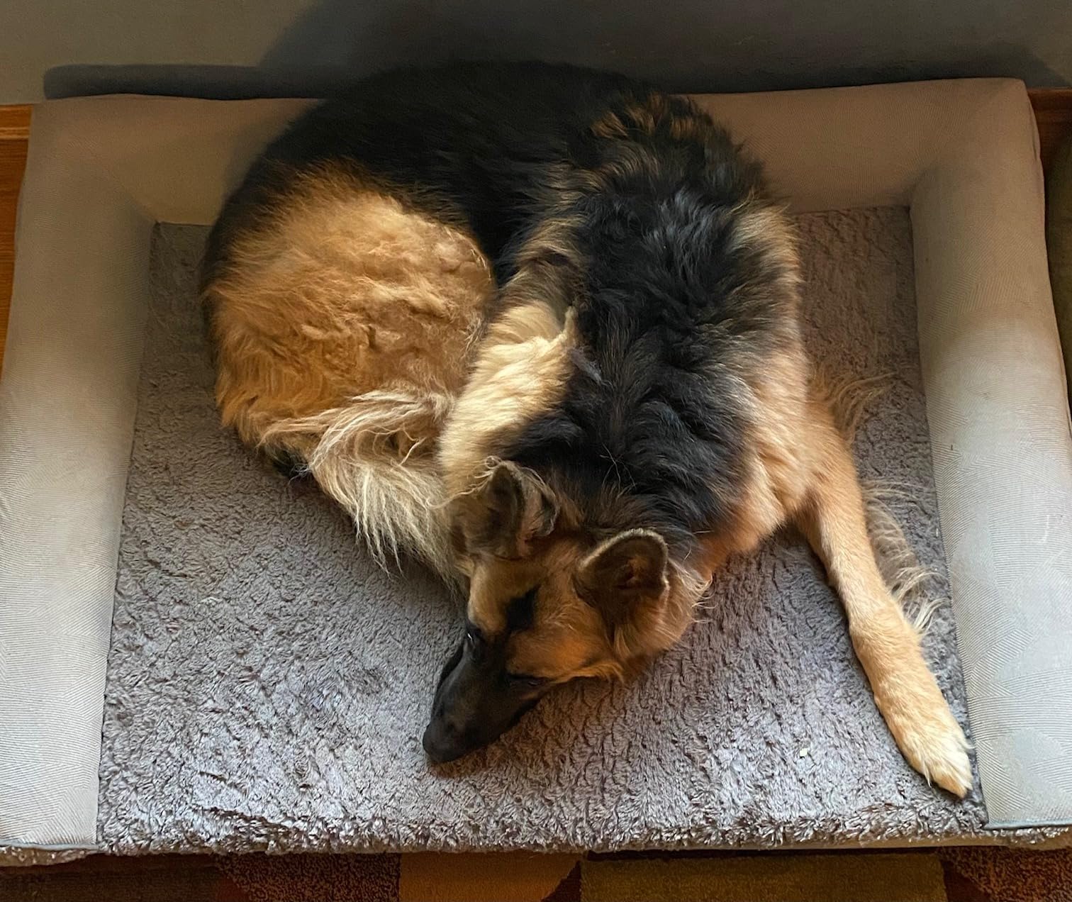 JOEJOY Chew Proof Indestructible Dog Bed for Large Dog, Chewproof Crate Pad customer photo 1