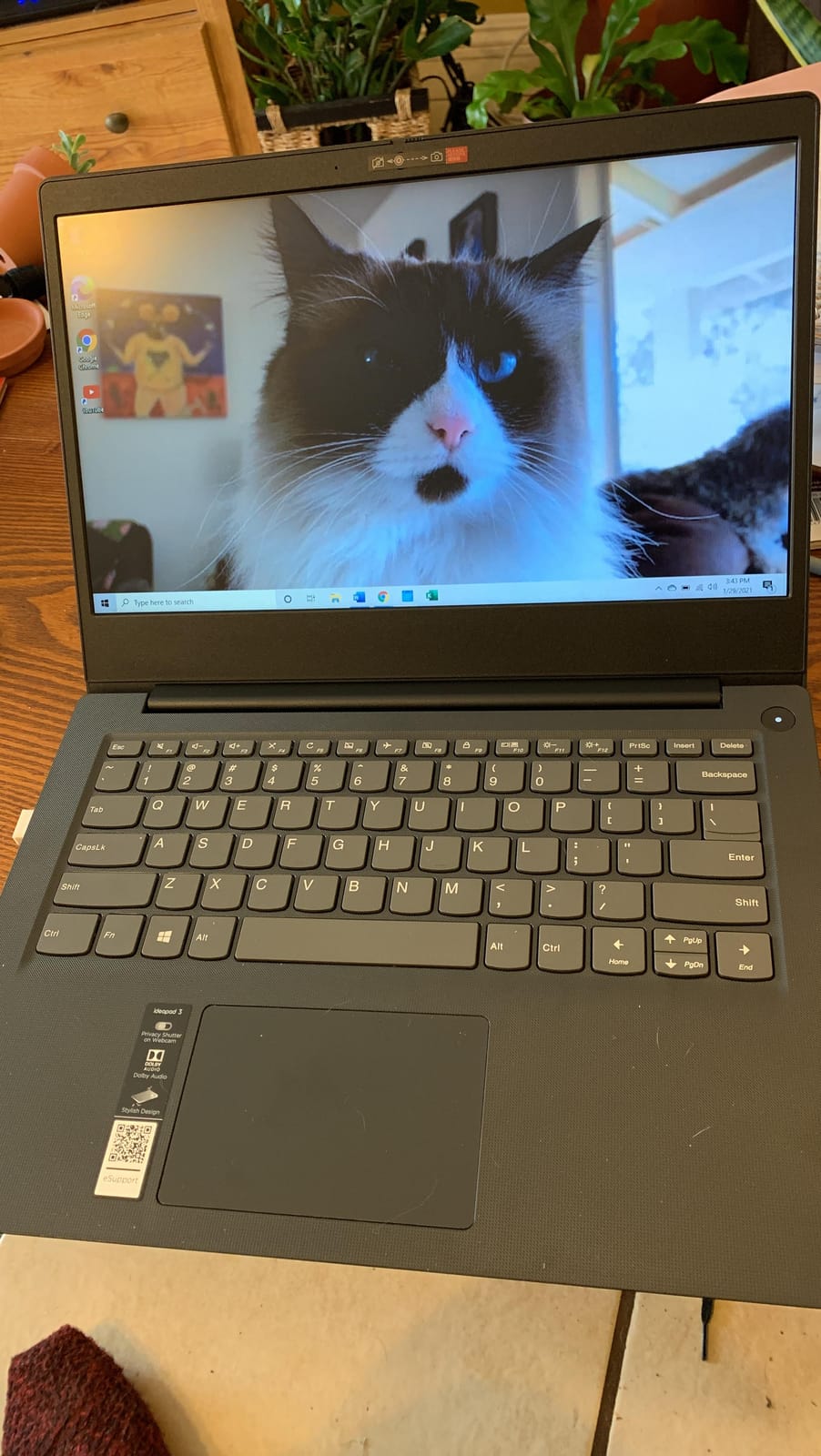 Lenovo Business 15.6