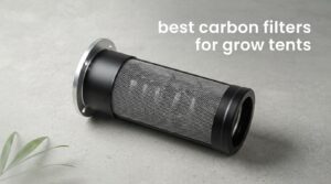 best carbon filters for grow tents