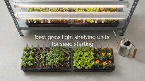 best grow light shelving units for seed starting