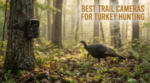best trail cameras for turkey hunting