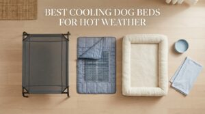 best cooling dog beds for hot weather