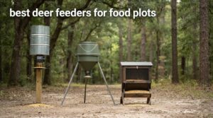best deer feeders for food plots