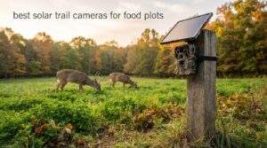 best solar trail cameras for food plots